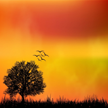 Nature background design Nature background design