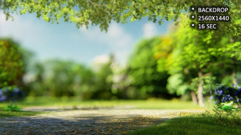 Nature Background For Product Display by Vpmax2007 | VideoHive