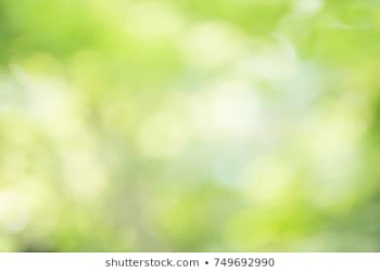 Nature Background Images, Stock Photos & Vectors | Shutterstock