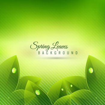 Nature background with green leaves Nature background with green leaves