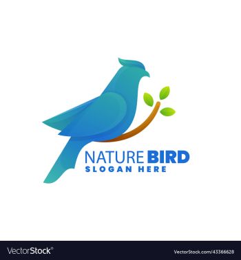 nature bird nature bird