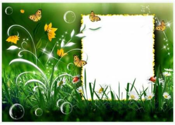 Nature frame download - summer photo frame. Transparent PNG Frame ...