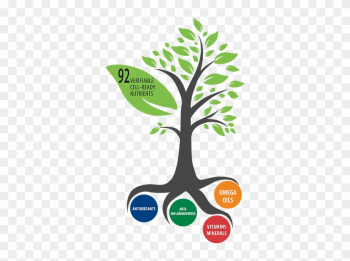 Nature Infographics Nature Infographics