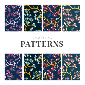 Nature leaf pattern design set | Free stock vector - 563283 Nature leaf pattern design set | Free stock vector - 563283