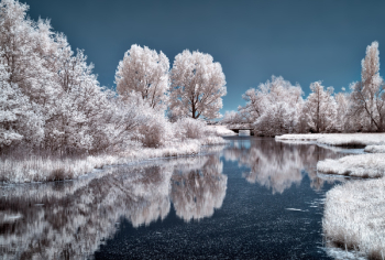 Nature Photography of River Near Trees Nature Photography of River Near Trees