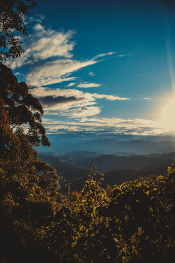 nature photograpy nature photograpy