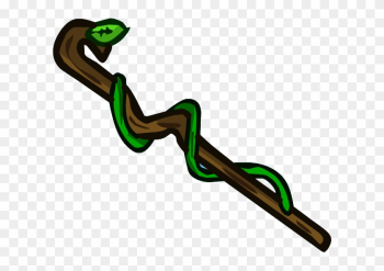 Nature Staff Nature Staff