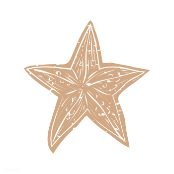 Nautical doodle | Free stock vector - 381484 Nautical doodle | Free stock vector - 381484