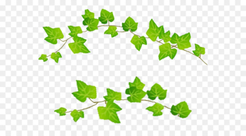Naver Blog Leaf Plant stem Portable Network Graphics - hojas Naver Blog Leaf Plant stem Portable Network Graphics - hojas