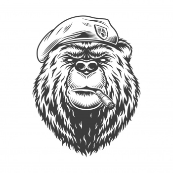 Navy seal bear head in beret Free Vector