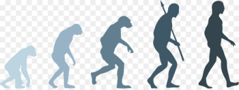 Neandertal Human evolution Homo sapiens - evolution 