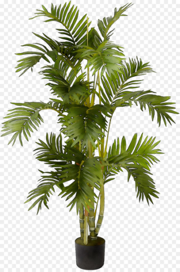 Nearly Natural, Inc. Artificial & Dried Flora Plants Palm trees -  