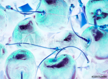 Negative effect of cherry background Negative effect of cherry background