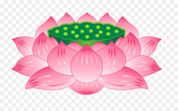 Nelumbo nucifera Buddhism Buddhahood Bodhisattva Guanyin - Vector lotus seat 