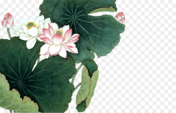 Nelumbo nucifera Chinese painting Chinese art Poster - Lotus Lotus lotus leaf 