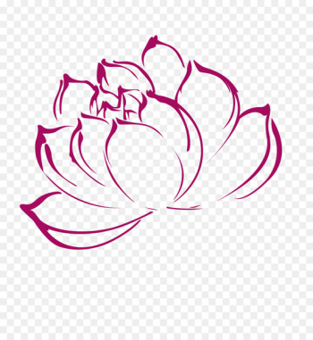 Nelumbo nucifera Clip art - Lotus 