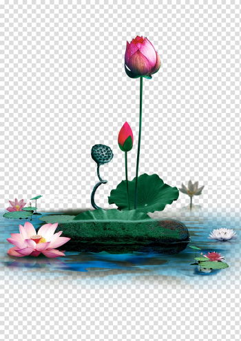 Nelumbo nucifera Pixel, Lotus lotus leaf transparent background PNG clipart