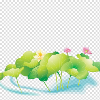 Nelumbo nucifera Pond, Creative Flower,Lotus transparent background PNG clipart Nelumbo nucifera Pond, Creative Flower,Lotus transparent background PNG clipart