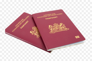 Netherlands Dutch passport Travel visa - passport vector 