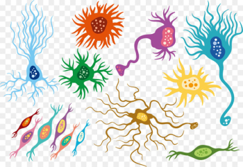 Neuron Floral design Artificial neural network - Colorful human neural network 