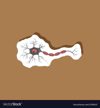 Neuron paper sticker on stylish background vector image Neuron paper sticker on stylish background vector image
