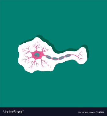 Neuron paper sticker on stylish background vector image Neuron paper sticker on stylish background vector image