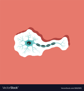 Neuron paper sticker on stylish background vector image Neuron paper sticker on stylish background vector image