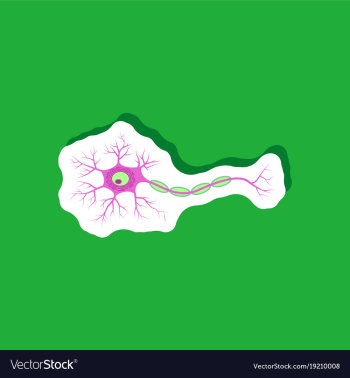 Neuron paper sticker on stylish background vector image Neuron paper sticker on stylish background vector image