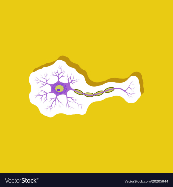 Neuron paper sticker on stylish background vector image Neuron paper sticker on stylish background vector image