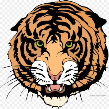 New England High School National Secondary School Williston Education - draw a tiger 