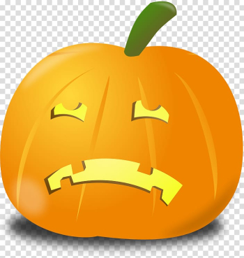 New Hampshire Pumpkin Festival Jack-o'-lantern Pumpkin pie , pumpkin transparent background PNG clipart