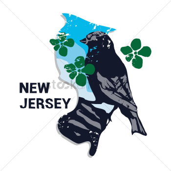 New jersey state New jersey state
