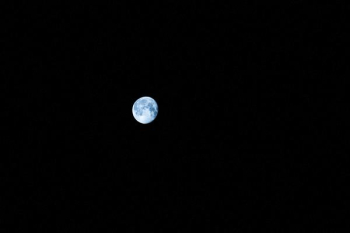 new moon new moon