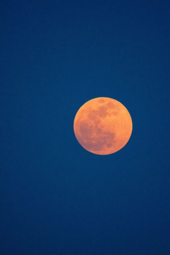 new moon new moon