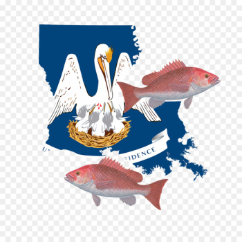 New Orleans Flag of Louisiana State flag U.S. state - flag New Orleans Flag of Louisiana State flag U.S. state - flag