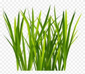 New Textures Billboard Grass - Grass For Unity New Textures Billboard Grass - Grass For Unity