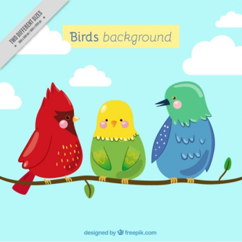 Nice birds on a branch background Nice birds on a branch background