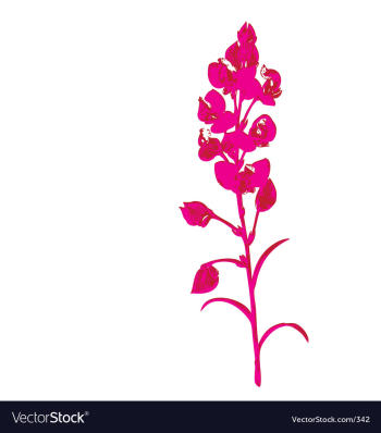 Nice blossom vector image Nice blossom vector image