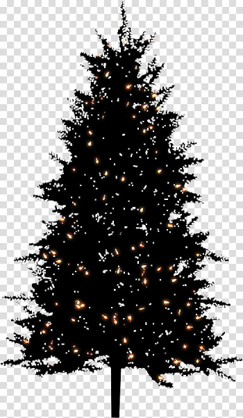 Night bg christmas tree, black Christmas tree transparent background PNG clipart