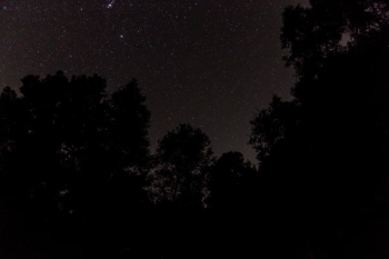 night sky night sky