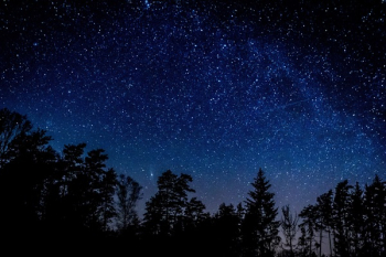 Night sky over rural landscape. Beautiful night starry sky, high ISO landscape. 