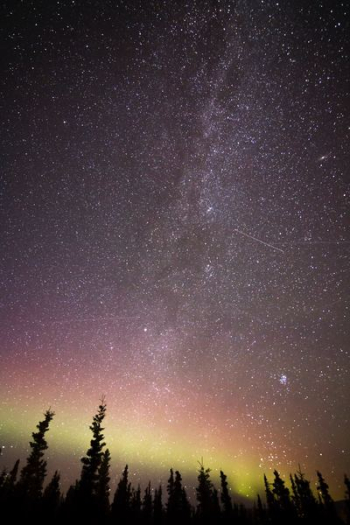 night sky painting night sky painting