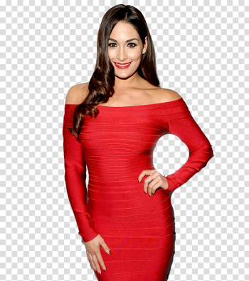 Nikki Bella PNG Photo Nikki Bella PNG Photo