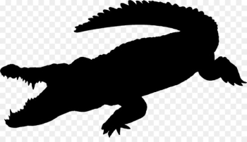 Nile crocodile Crocodiles and Alligators Gustave - Nile crocodile Crocodiles and Alligators Gustave -