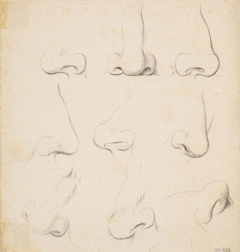 Nine studies of noses | Free Photo - rawpixel Nine studies of noses | Free Photo - rawpixel