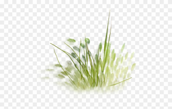 Nld Grass - Watercolor Grass Png