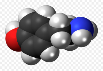 Norepinephrine Dopamine ADRENALINE USA VOLLEYBALL Hormone - Norepinephrine Dopamine ADRENALINE USA VOLLEYBALL Hormone -