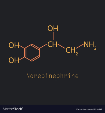 Norepinephrine noradrenaline norepi hormone and vector image Norepinephrine noradrenaline norepi hormone and vector image