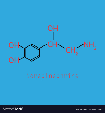 Norepinephrine noradrenaline norepi hormone and vector image Norepinephrine noradrenaline norepi hormone and vector image