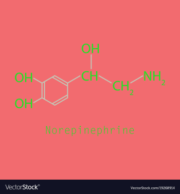 Norepinephrine noradrenaline norepi hormone and vector image Norepinephrine noradrenaline norepi hormone and vector image